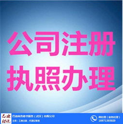 武漢巴迪商務服務 專業(yè)代賬與工商執(zhí)照代理，助力企業(yè)高效運營
