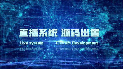 各類系統(tǒng)軟件定制開發(fā),app定制開發(fā) 源碼銷售 云鯨互創(chuàng)